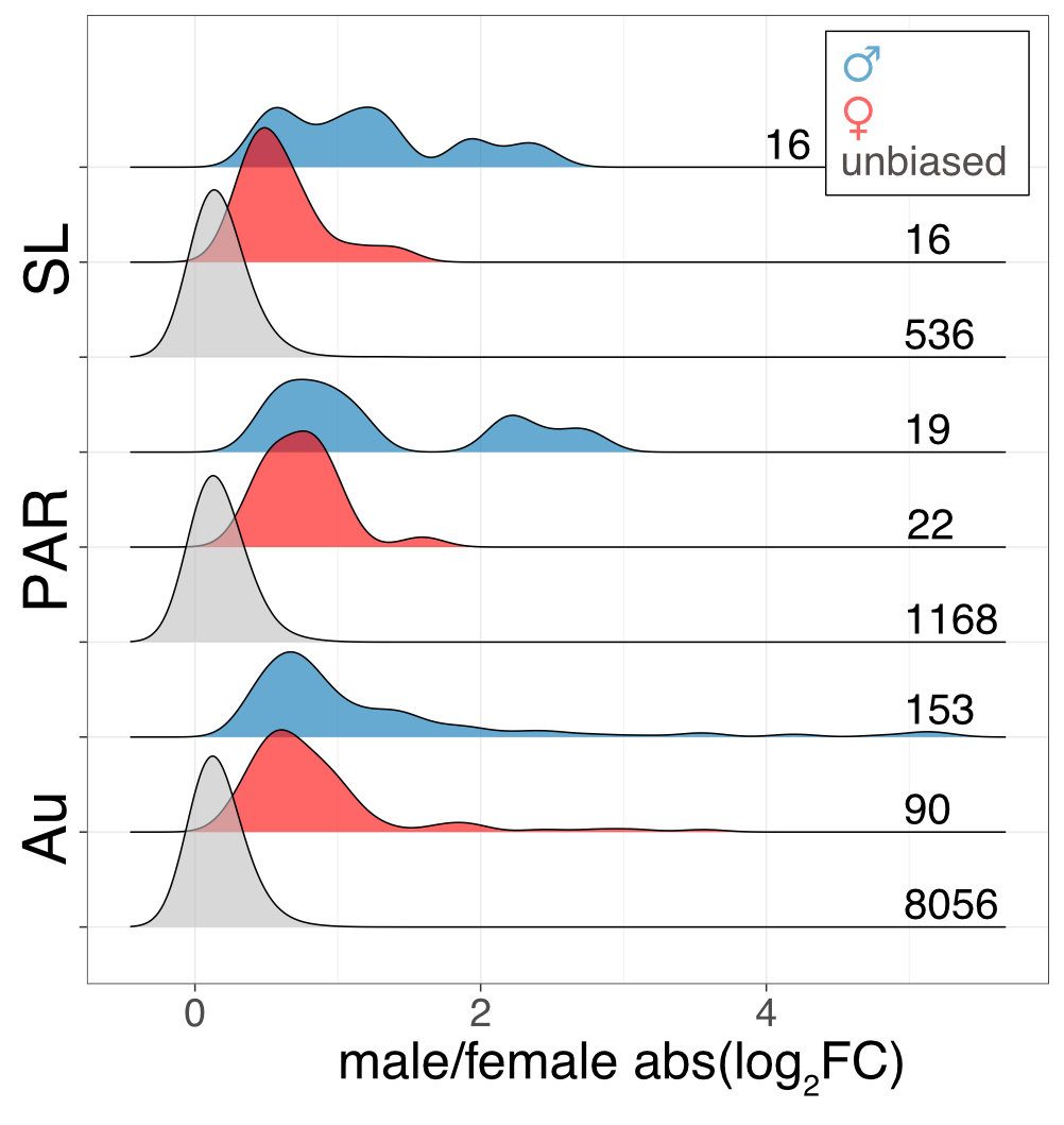 Sex chromosome and sex biased genes