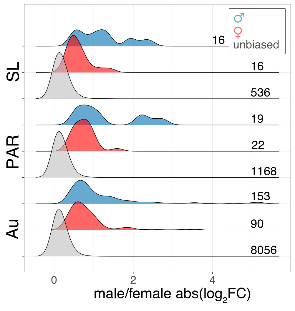 sex biased genes